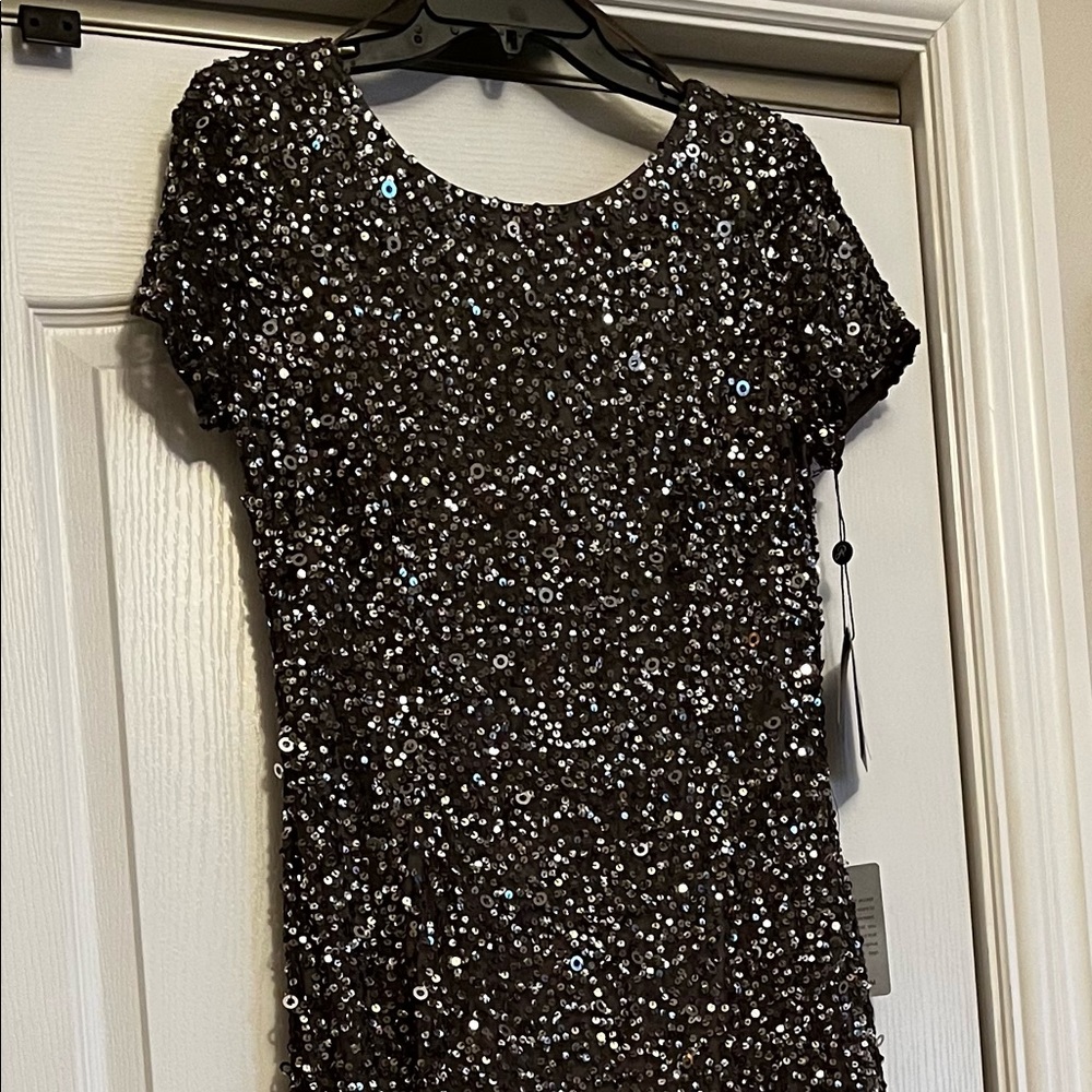 Adrianna Papell Long Dress